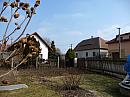 Třibřichy